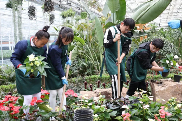六新引领绘新篇 | 我校案例入选市中小学思想政治教育一体化建设工作典型案例