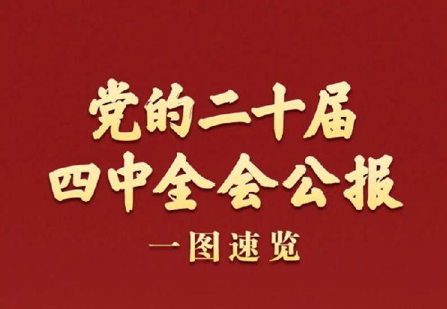 一图速览！党的二十届四中全会公报