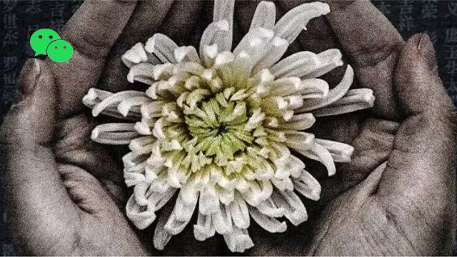 国家公祭日 | 铭记国殇，共护和平